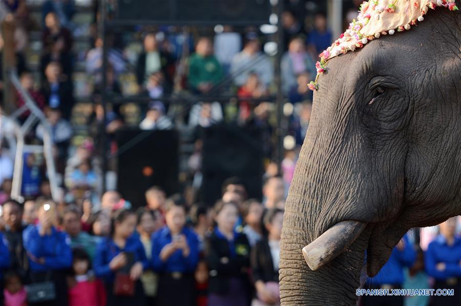 El Festival de Elefantes en Laos