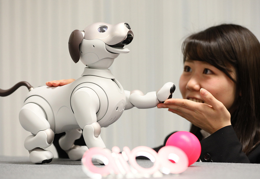 Modelo "Sony Aibo Robot", un perro mascota. Tokío, 11 de enero del 2018. [Foto: VCG]