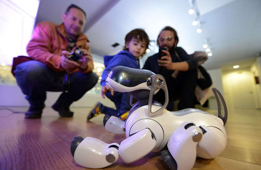 Un perro robot se exhibe en el “Museo de la Robótica” de Madrid, España, 28 de noviembre del 2013. [Foto: VCG]