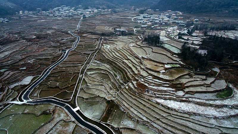 Visión aérea de los campos de la aldea de Shake, municipio de Huayuan, región autónoma Tujia y Miao de Xiangxi, provincia de Hunan, el 28 de enero.(Fuente: Long Enze/Renmin Photo)