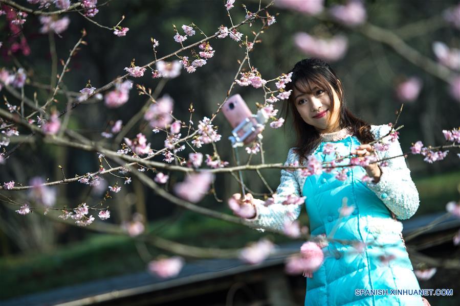 Una turista posa para una "selfie" frente a flores de cerezo en el Area Escénica de Donghu, en Wuhan, provincia de Hubei, en el centro de China, el 9 de marzo de 2018. (Xinhua/Xiong Qi)