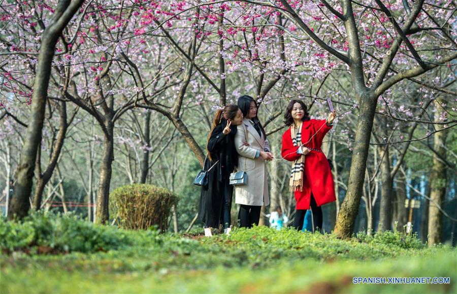 HUBEI, marzo 9, 2018 (Xinhua) -- Turistas posan para una "selfie" entre a flores de cerezo en el Area Escénica de Donghu, en Wuhan, provincia de Hubei, en el centro de China, el 9 de marzo de 2018. (Xinhua/Xiong Qi)