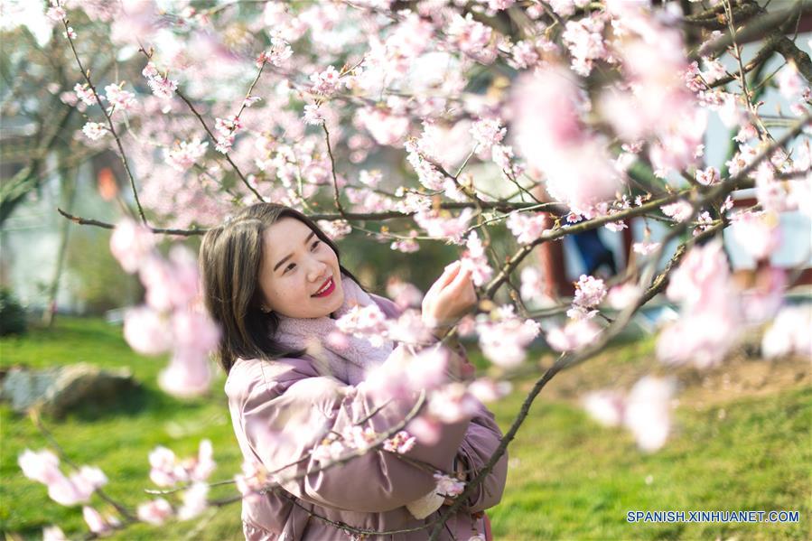 Una turista observa flores de cerezo en el Area Escénica de Donghu, en Wuhan, provincia de Hubei, en el centro de China, el 9 de marzo de 2018. (Xinhua/Xiong Qi)