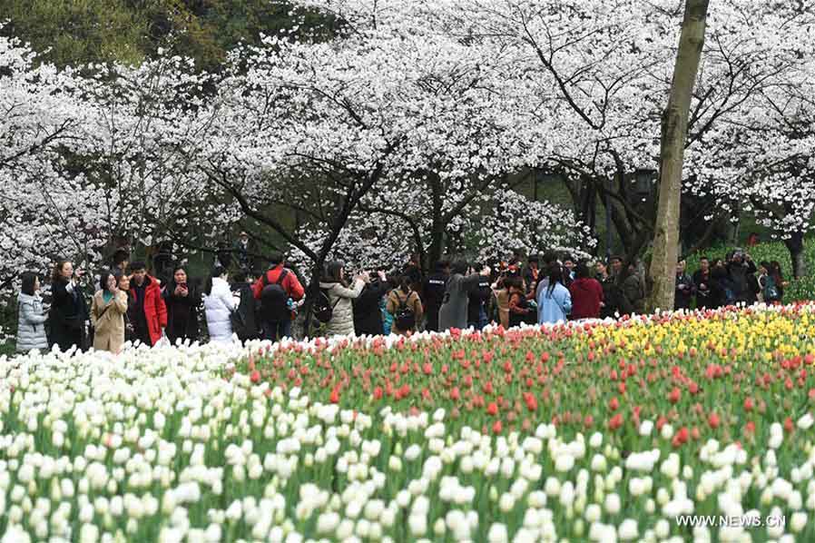 Hangzhou, 20/03/2018(El Pueblo en Línea) - El Parque Taiziwan se llena de visitantes, Hangzhou, provincia de Zhejiang, 19 de marzo del 2018. [Foto: Xinhua]