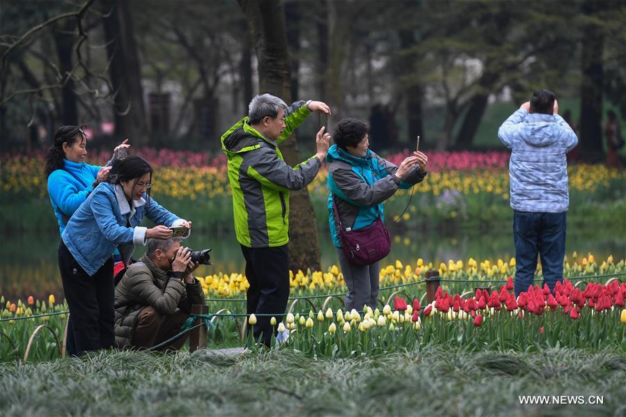 Visitantes posan junto a tulipanes florecidos en el Parque Taiziwan, Hangzhou, provincia de Zhejiang, 19 de marzo del 2018. [Foto: Xinhua]
