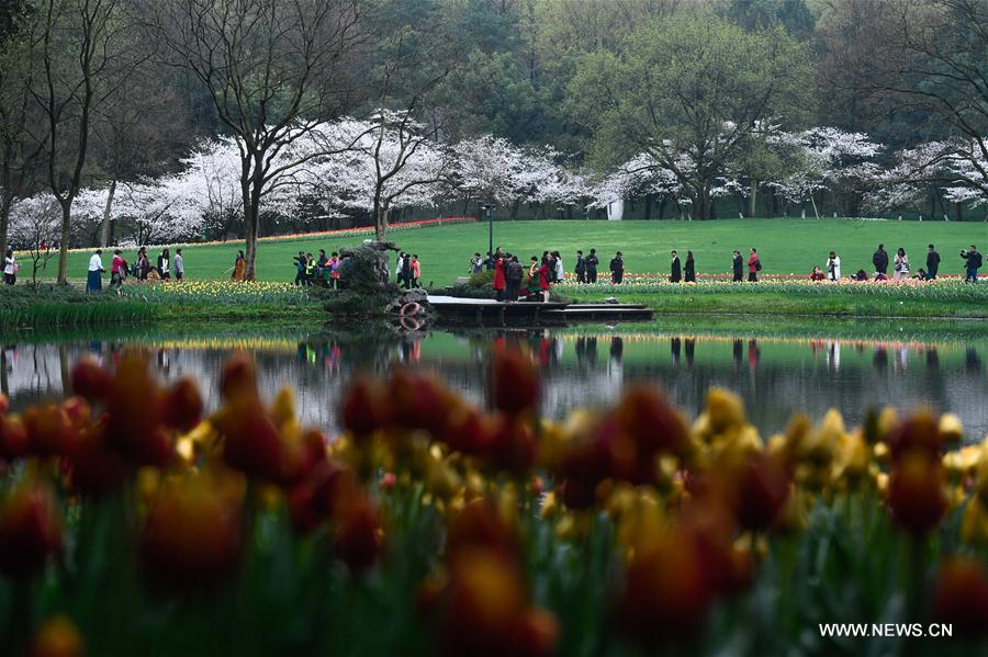 El Parque Taiziwan se llena de visitantes, Hangzhou, provincia de Zhejiang, 19 de marzo del 2018. [Foto: Xinhua]