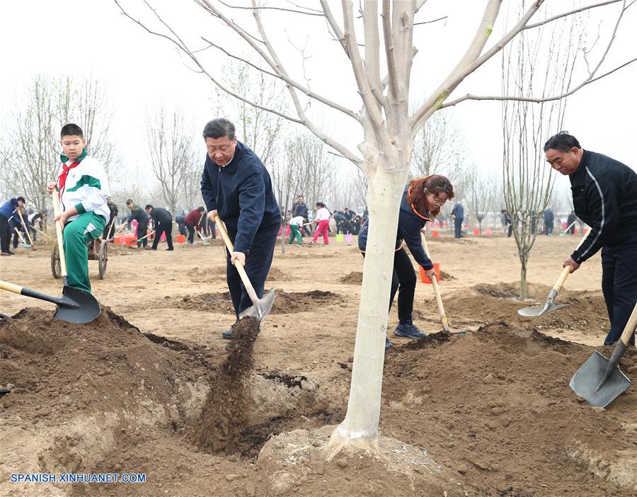 Presidente chino subraya desarrollo centrado en el pueblo en programas de reforestación