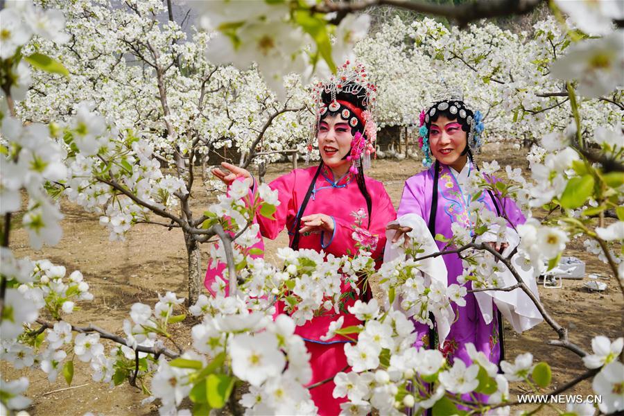 Amantes de la ópera china encarnan personajes en un jardín florecido 