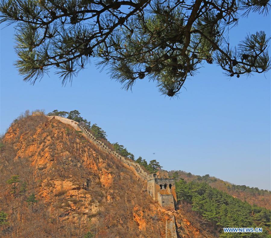 Foto tomada del 15 de abril de 2018 muestra la antigua Gran Muralla en el condado de Suizhong, Huludao, provincia de Liaoning, noreste de China. (Xinhua / Yang Qing)