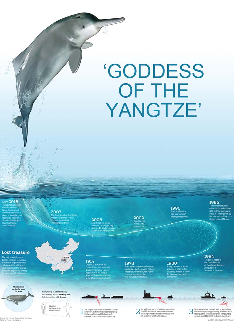 Prueba de avistamiento de la “diosa del río Yangtze" llena de esperanzas a los ecologistas chinos