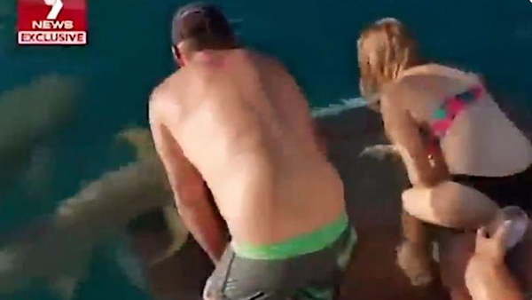 Una mujer intenta alimentar a un tiburón con la mano y este la arrastra al agua