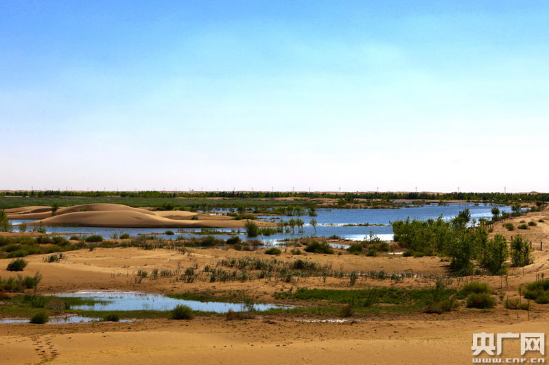 La ingeniería hidráulica china convierte el desierto Kubuqi en un verdadero oasis