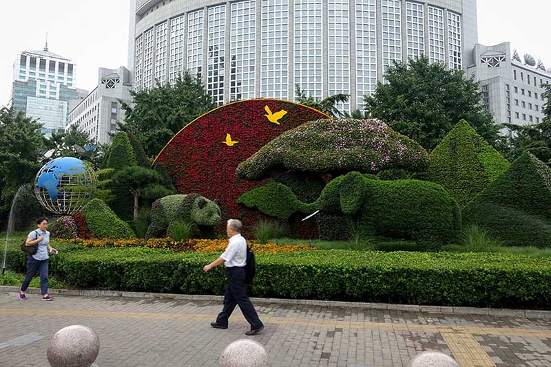 Se presentan ornamentos florales con el tema de la cumbre de Beijing del Foro sobre Cooperación China-África