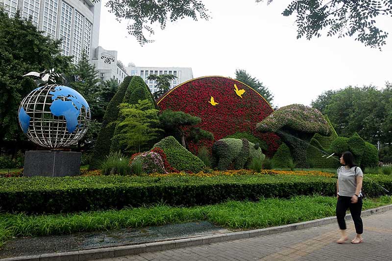 Se presentan ornamentos florales con el tema de la cumbre de Beijing del Foro sobre Cooperación China-África