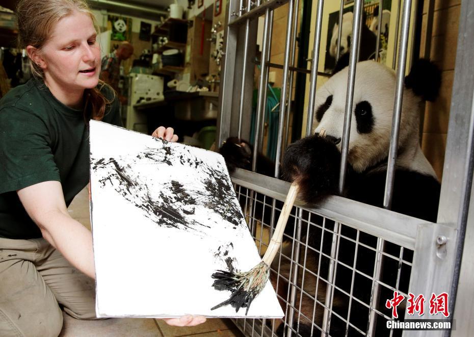 Un panda gigante "pinta" en Viena