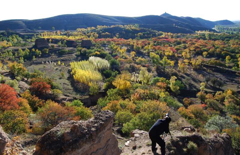 Reliquias de la Muralla de Datong. [Foto: Li Yi y Han Jianjun]