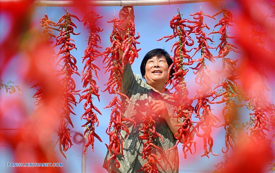 Visión: Agricutores trabajan en otoño a través de China
