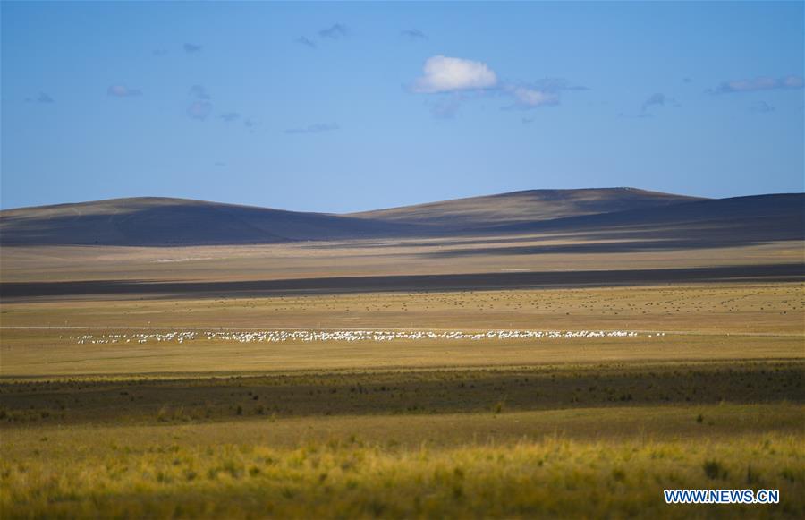 Atractivo paisaje de Ulgai en Xilingol, Mongolia Interior