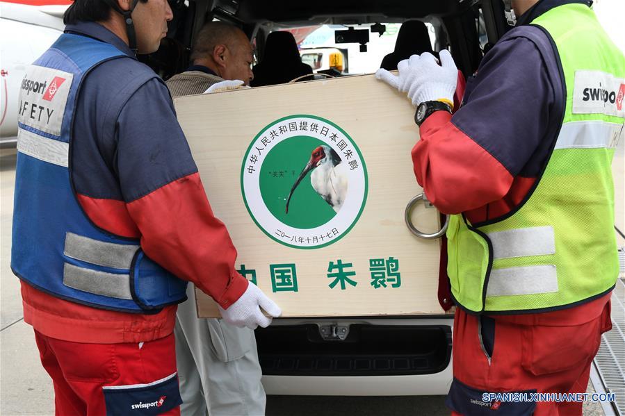 Un par de ibises crestados de China llega a Japón como símbolo de amistad