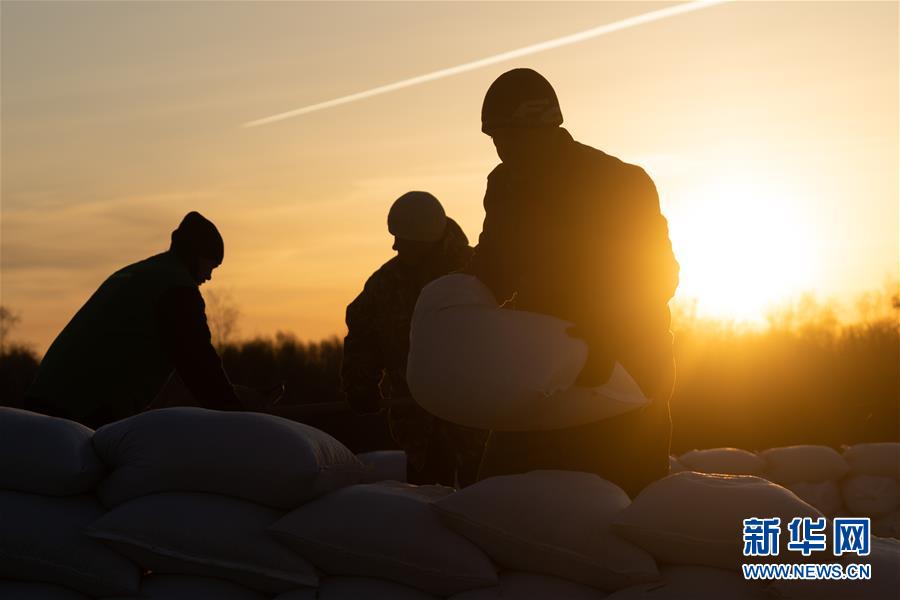 Los aldeanos trabajan en una granja de soja cerca de la ciudad de Birobidzhan, en el Óblast Autónomo Hebreo de Rusia (foto tomada el 19 de octubre). Agencia de Noticias Xinhua, reportero Zhang Ruoxuan.