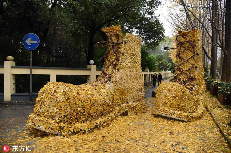 Un enorme par de zapatos de “oro Ginkgo” se exponen en Hangzhou, provincia de Zhejiang, 5 de diciembre del 2018. [Foto: IC]