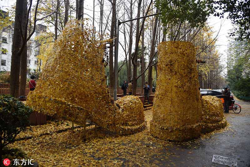 Un enorme par de zapatos de “oro Ginkgo” se expone en Hangzhou, provincia de Zhejiang, 5 de diciembre del 2018. [Foto: IC]