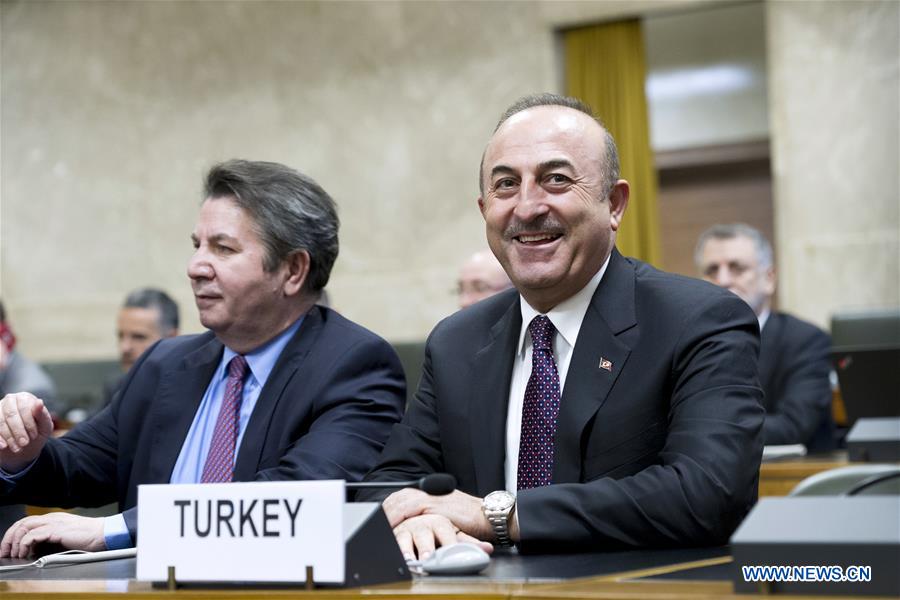 Rusia, Irán y Turquía acuerdan realizar primera sesión de Comité Constitucional Sirio en 2019