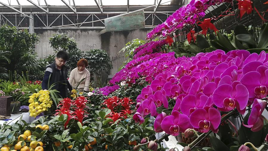 Mercado de flores en Hebei, China