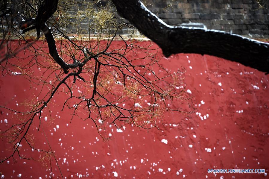 Paisaje nevado en el Museo del Palacio en Beijing