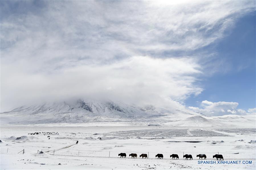 Meseta de Pamir cubierta de nieve