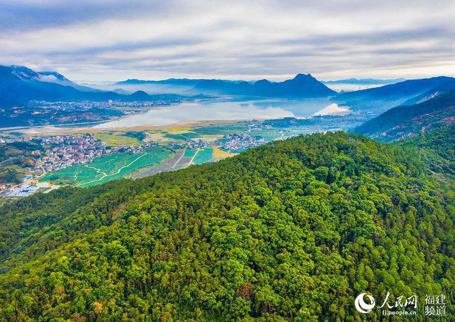 Bosque público de Fuqing. (Foto: Huang Hai)