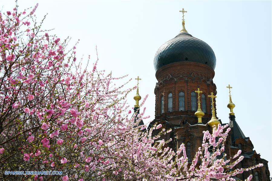 Catedral de Santa Sofía en Harbin
