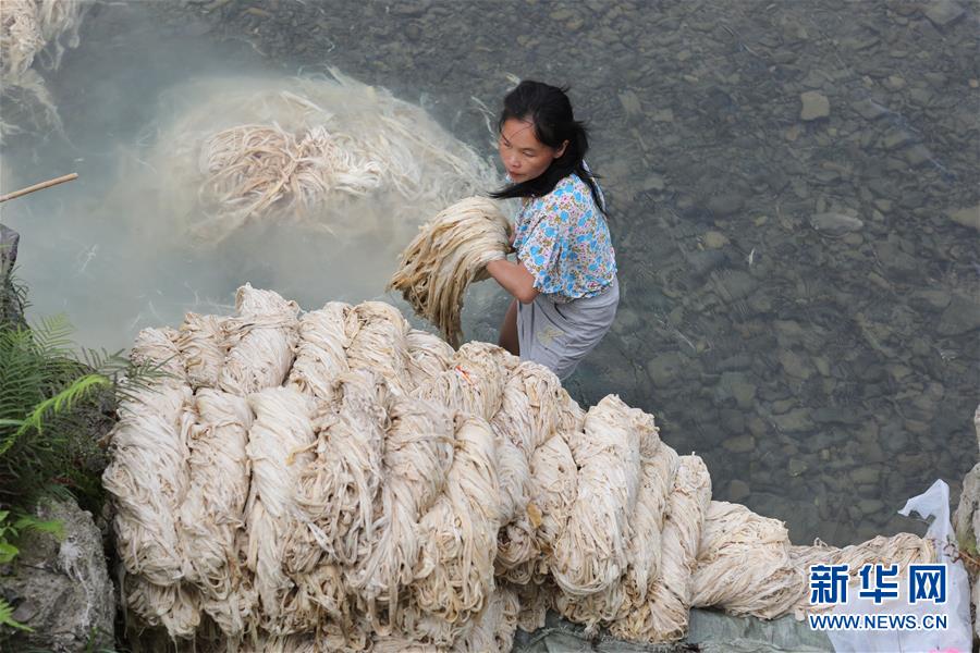 El 1 de julio, en Shiqiao, Danzhai, provincia de Guizhou, una mujer Miao limpia en el río los materiales para la fabricación de papel "Chao Zhi". (Foto: Ou Dongying/ Xinhua)