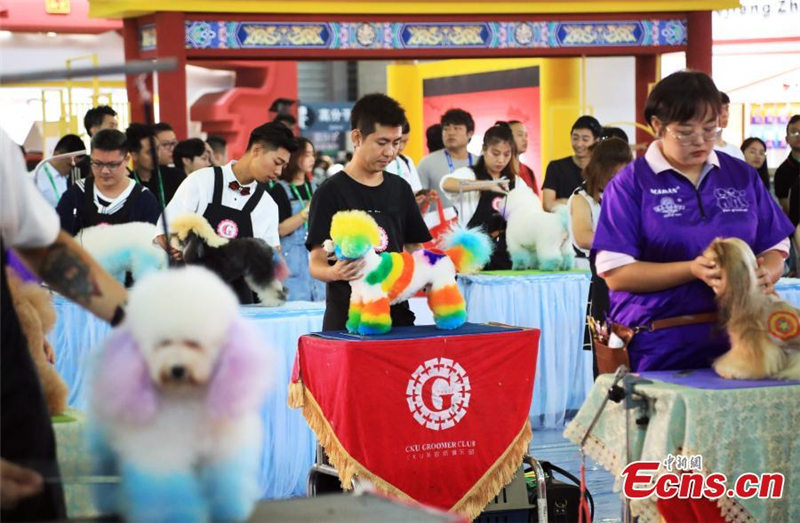 La Feria de Mascotas de Asia se celebra en Shanghai