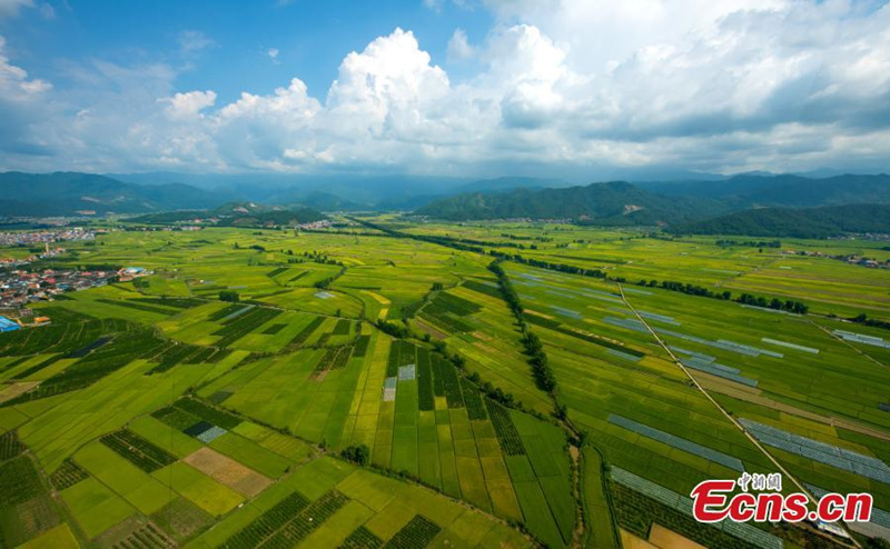 Yunnan inaugura nueva Zona Franca Piloto 