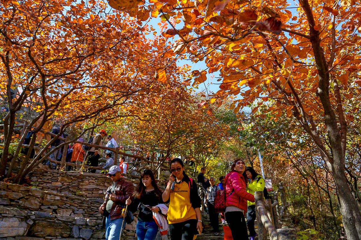 Beijing publica una lista de los mejores sitios para disfrutar las hojas rojas de otoño
