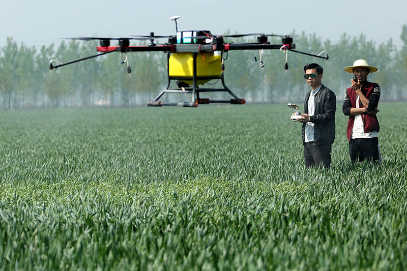 Innovaciones agrícolas ayudan a reducir el uso de fertilizantes y pesticidas en los campos chinos