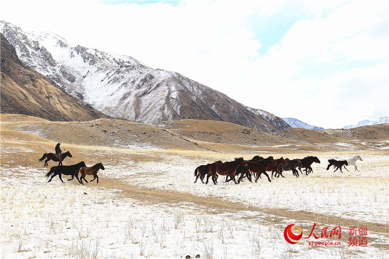 La nieve cubre la pradera de Zhaosu ofreciendo una imagen impresionante 