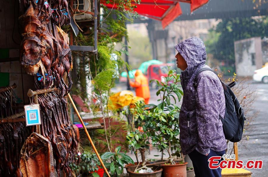 Pato en salsa de soya: manjar en Hangzhou durante el Festival de la Primavera