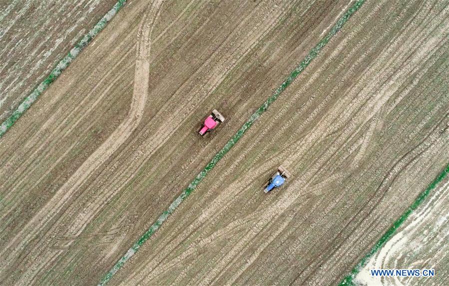 Agricultores manejan maquinaria agrícola para arar la tierra en una granja en Jiangxi