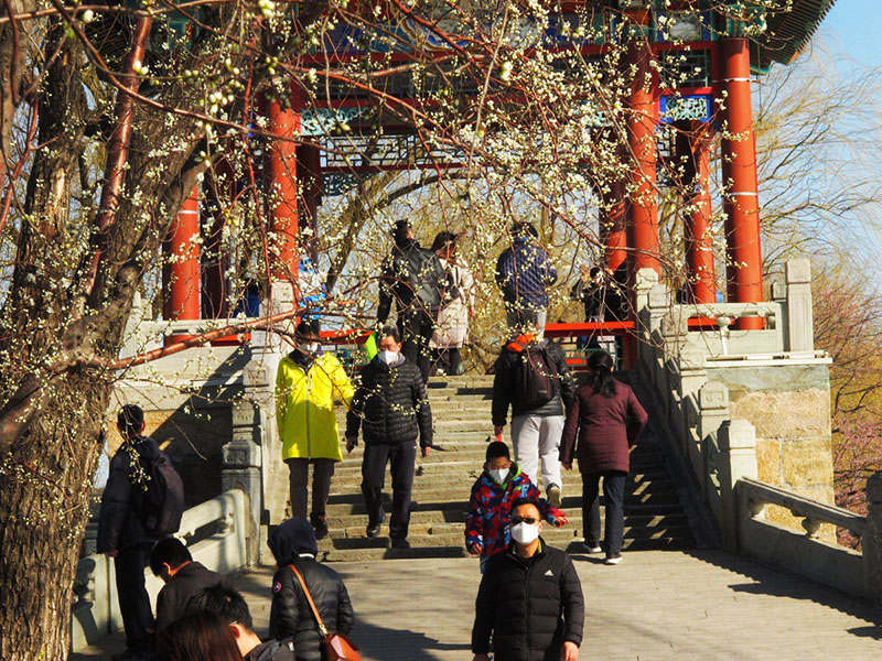 Los visitantes disfrutan del paisaje de principios de la primavera en el West Dyke del Palacio de Verano de Beijing, 15 de marzo del 2020. [Foto: Jiang Dong/ Chinadaily]
