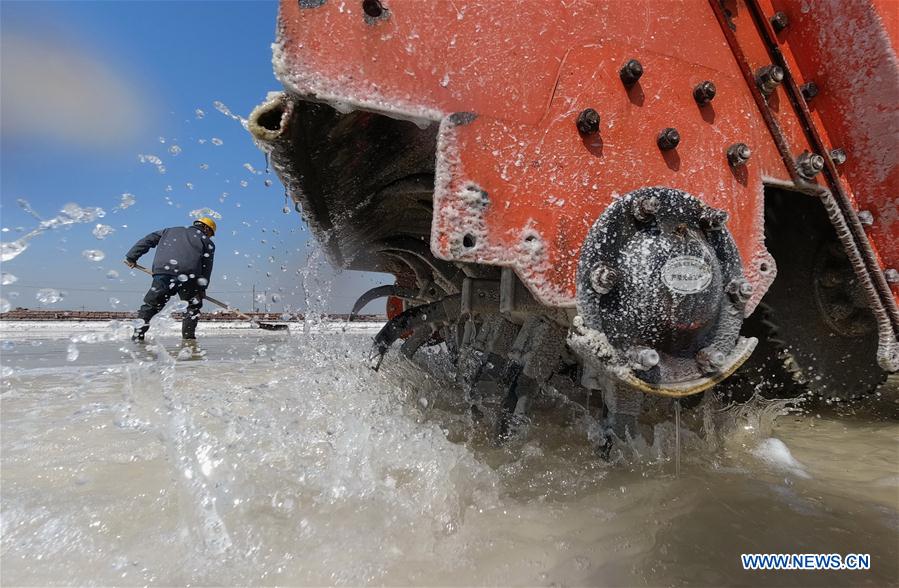 Hebei: Cosechan sal en una salina en Tangshan