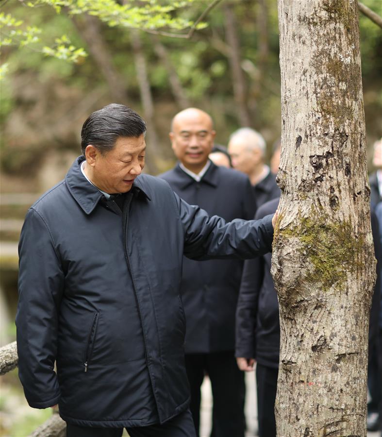 SHANGLUO, 20 abril, 2020 (Xinhua) -- El presidente chino, Xi Jinping, también secretario general del Comité Central del Partido Comunista de China y presidente de la Comisión Militar Central, inspecciona la conservación ecológica de las Montañas Qinling en la Reserva Natural Nacional de Niubeiliang en el distrito de Zhashui, en la ciudad de Shangluo, en la provincia de Shaanxi, en el noroeste de China, el 20 de abril de 2020. (Xinhua/Ju Peng)