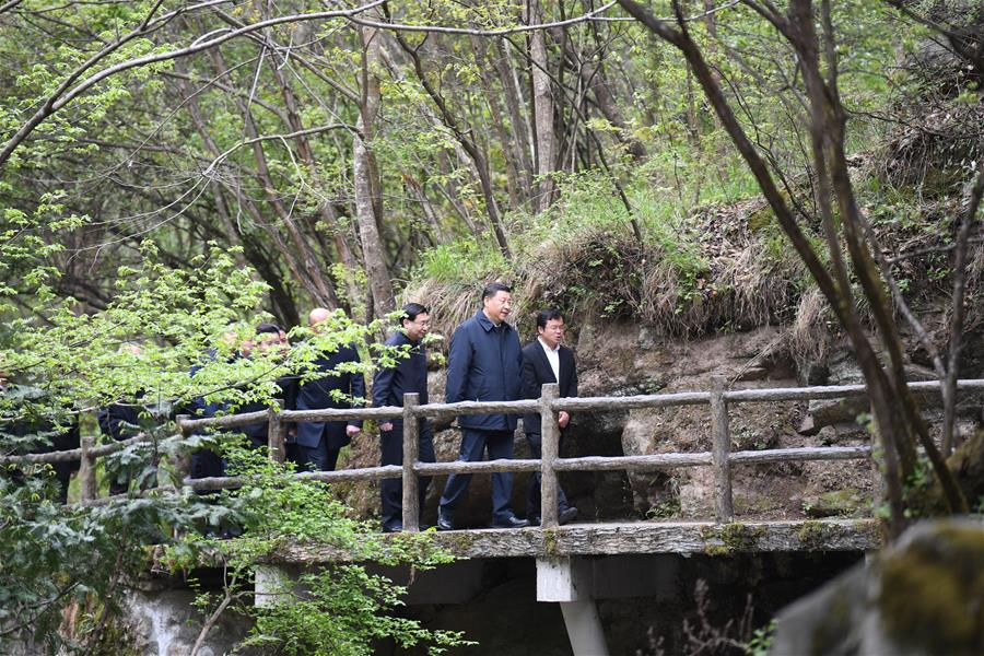 SHANGLUO, 20 abril, 2020 (Xinhua) -- El presidente chino, Xi Jinping, también secretario general del Comité Central del Partido Comunista de China y presidente de la Comisión Militar Central, inspecciona la conservación ecológica de las Montañas Qinling en la Reserva Natural Nacional de Niubeiliang en el distrito de Zhashui, en la ciudad de Shangluo, en la provincia de Shaanxi, en el noroeste de China, el 20 de abril de 2020. (Xinhua/Zhai Jianlan)