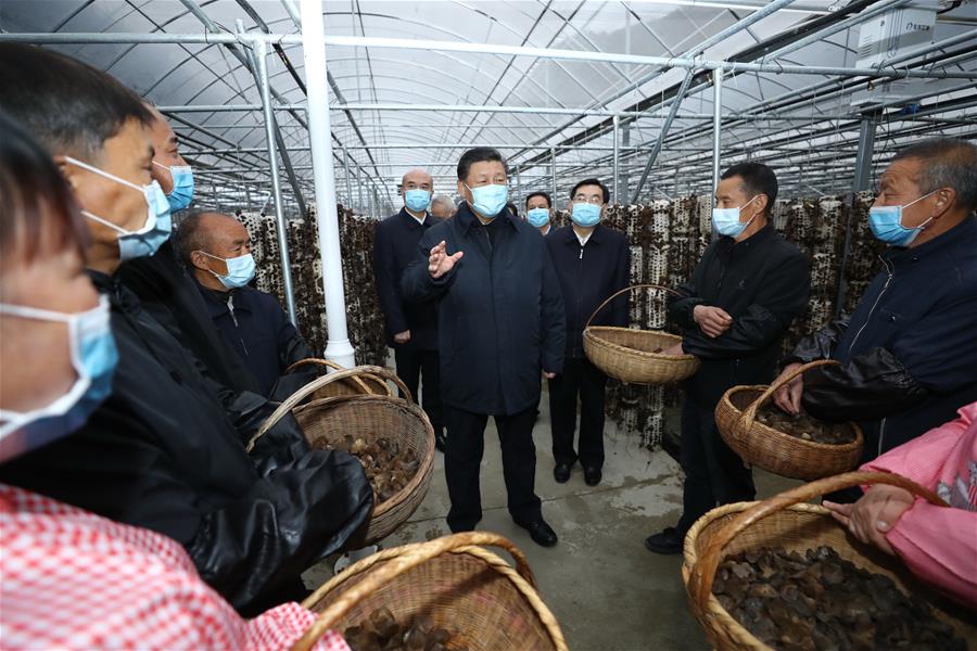 SHANGLUO, 20 abril, 2020 (Xinhua) -- El presidente chino, Xi Jinping, también secretario general del Comité Central del Partido Comunista de China y presidente de la Comisión Militar Central, conoce sobre los esfuerzos de alivio de la pobreza, en la aldea de Jinmi, en la localidad de Xiaoling, en el distrito de Zhashui, en la ciudad de Shangluo, en la provincia de Shaanxi, en el noroeste de China, el 20 de abril de 2020. (Xinhua/Ju Peng)