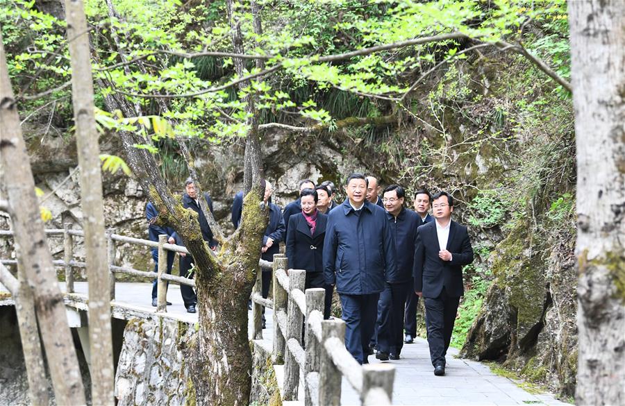 SHANGLUO, 20 abril, 2020 (Xinhua) -- El presidente chino, Xi Jinping, también secretario general del Comité Central del Partido Comunista de China y presidente de la Comisión Militar Central, inspecciona la conservación ecológica de las Montañas Qinling en la Reserva Natural Nacional de Niubeiliang en el distrito de Zhashui, en la ciudad de Shangluo, en la provincia de Shaanxi, en el noroeste de China, el 20 de abril de 2020. (Xinhua/Xie Huanchi)
