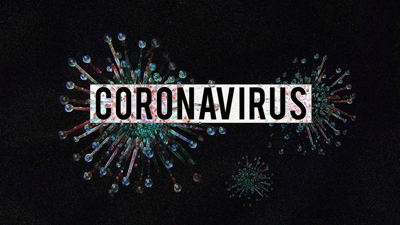 Métodos filogenéticos indican que la variante del SARS-CoV-2 identificado en animales no fue la principal en el brote de Wuhan