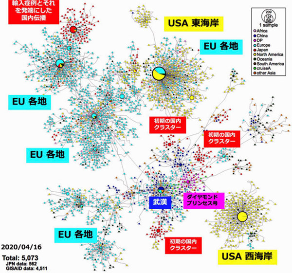 La investigación realizada por el Instituto Nacional de Enfermedades Infecciosas en Japón muestra que el nuevo coronavirus en Japón podría venir de Europa y Estados Unidos