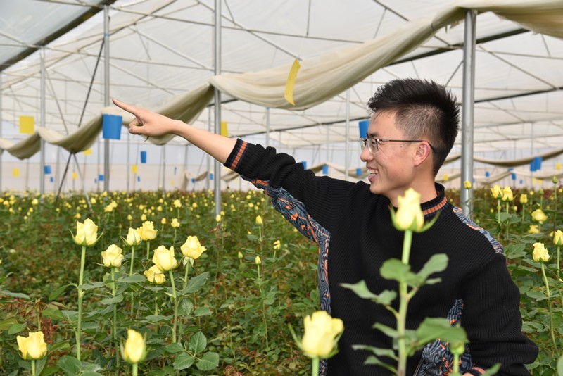 Liu Kaibin, un joven empresario, muestra su base de plantación de rosas en el condado Luliang de Qujing, provincia de Yunnan, suroeste de China, el 28 de abril de 2020. [Foto / Xinhua]