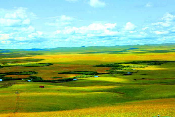 Los prados de Mongolia Interior a principios de otoño son coloridos con un paisaje natural y pintoresco. Xing Jingping / Foto de Diario del Pueblo